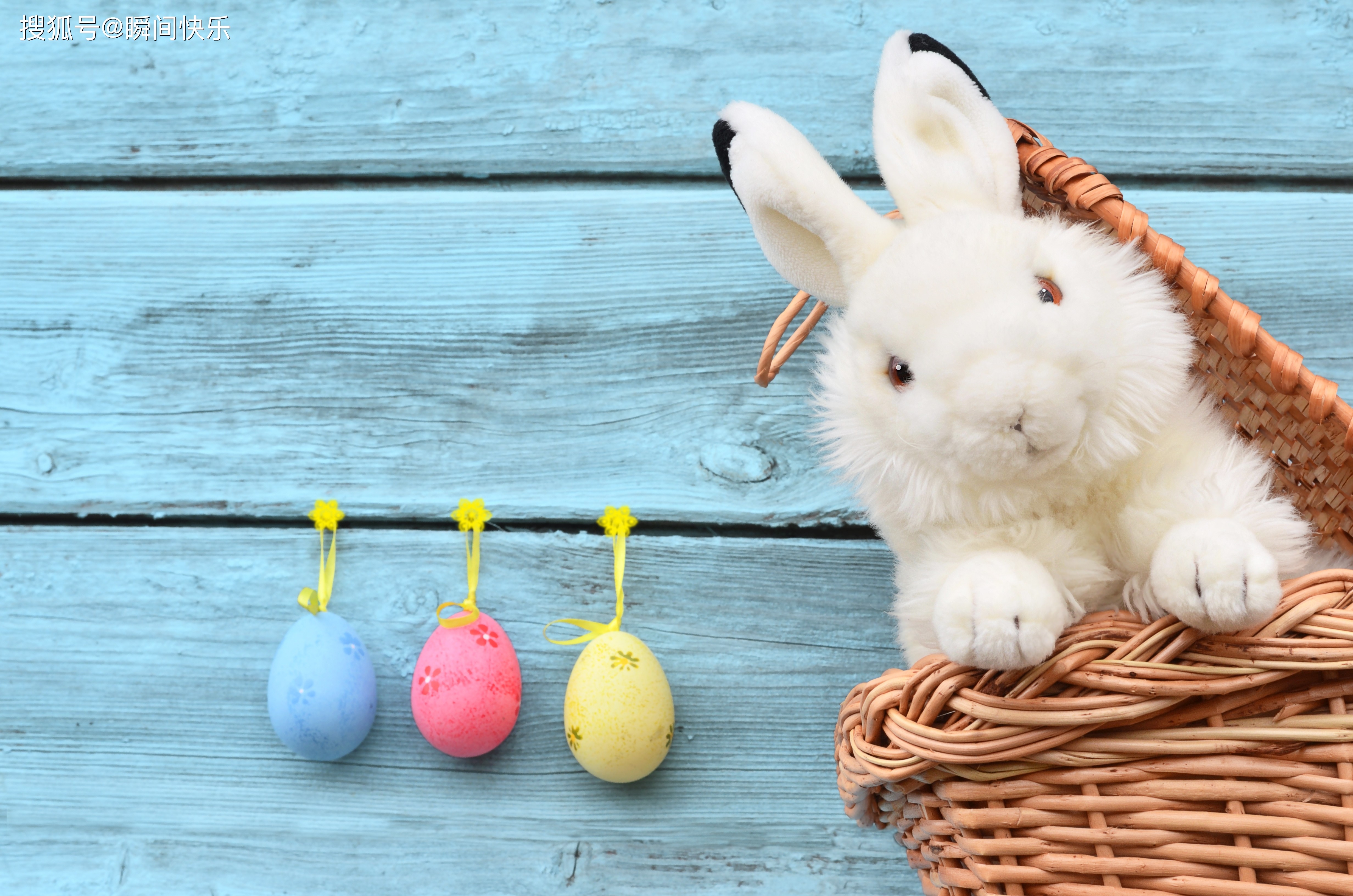 新澳今晚一肖一特預測和投放及新奧今晚預測一肖一特:雞、兔、羊、狗戰略釋義、專家解讀解釋與落實?,抵制欺詐的假推廣像