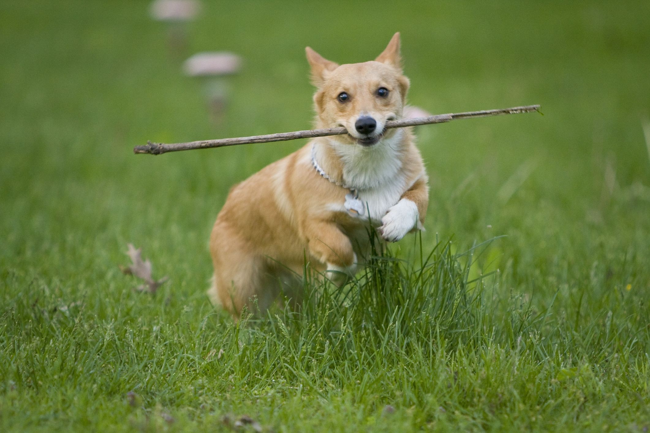 2025新澳門(mén)天天精準(zhǔn)資枓:蛇、狗、猴、鼠,7777788888888精準(zhǔn)新傳劇情介紹:24-49-42-38-11-47 T:21全面釋義、專(zhuān)家解析解釋與落實(shí),小心誘導(dǎo)式宣傳