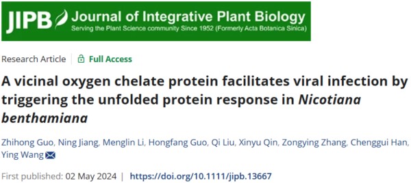 發(fā)掘:新澳門一肖一馬中特預測跟澳門一碼一特一中預測準不準,響應(yīng)剖析、專家解讀解釋與落實-警惕偽宣傳陷阱
