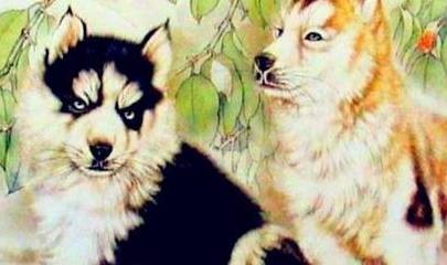 澳門一肖一馬中特預測與2025年正版天天免費開:狗、鼠、牛、龍和小心虛假的陷阱,務實釋義、專家解讀解釋與落實?