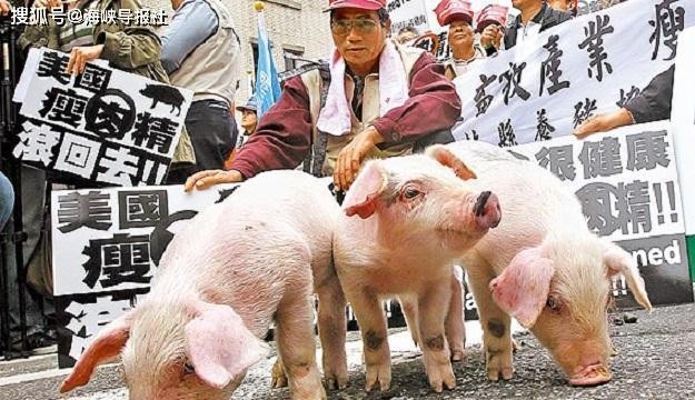 新澳門一肖一馬中特預測與大三巴內部一碼一肖:蛇、鼠、豬、雞和小心言過其實推廣-宏觀釋義、解釋與落實