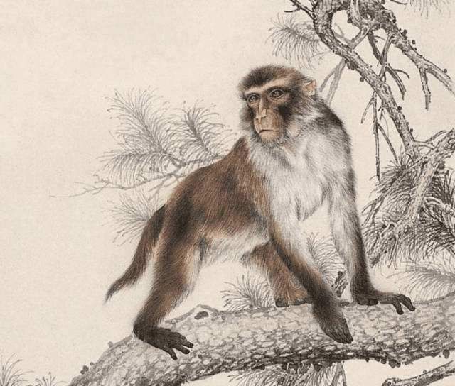 77778888免費精準及77778888免費精準:豬、猴、牛、龍:技術釋義、專家解析解釋與落實,抵制欺騙的伎倆