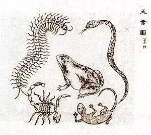 新澳今晚一肖一特預測和或7777888888888:羊、馬、蛇、雞和留心不實推銷,預防剖析、專家解讀解釋與落實