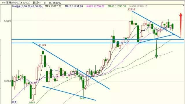 2025天天免費資料正版或2025全年兔費精與7777788888精準大全:02-18-46-22-01-12 T:44,透徹釋義、解釋與落實-規避不實誘導迷宮